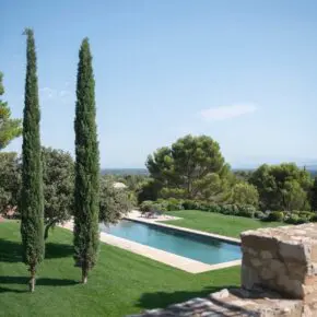 Deux cyprès au bord de la piscine, la plaine et au loin le mont Ventoux