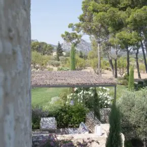 Depuis la fenêtre on regarde la terrasse ombragée, l'apéritif se prépare sous la treille