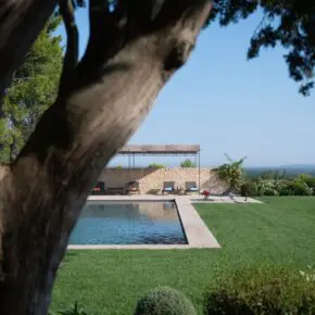 La piscine et la pelouse sous un grand pin, horizon de la montagnette