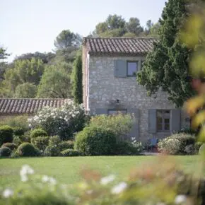 Le mas en pierre parmi les pins et les cyprès, massifs de roses, pittosporum, teucrium, perovskia et lauriers au premier plan