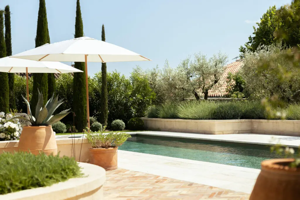 En fond de scène de la piscine, une composition de cyprès et de variétés taillées en boules