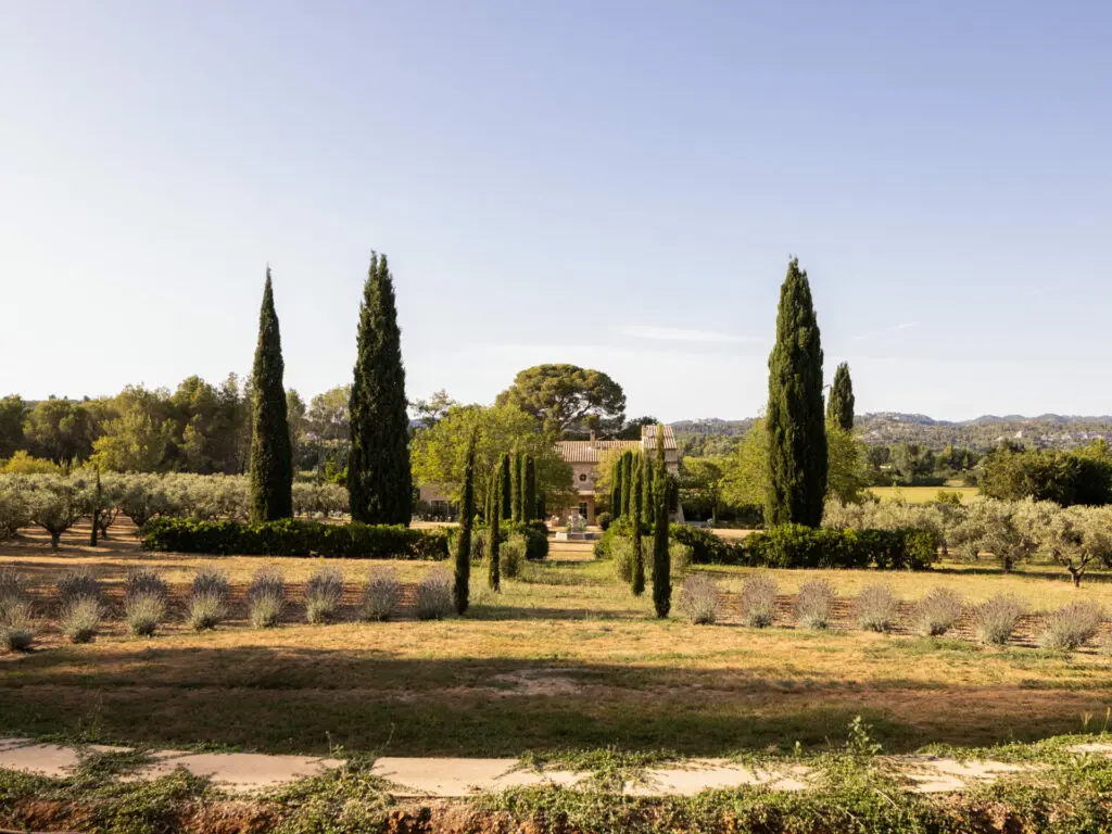 Mas Paraiso: la rénovation de mas dans Les Alpilles par BOSC Architectes