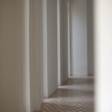 It has become an interior promenade. A gentle walk where each visit reveals a new detail, a different light, a